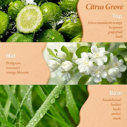 Citrus Reed Diffuser Set Orange Grove, Includes 10 Diffuser Sticks & Decorative Flower, Air Freshener for Living Room Bedroom, 5 fl.oz