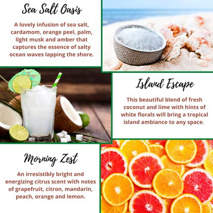 Spring Summer Scent Wax Melts Wax Cubes - Scented Wax Melt Variety Pack for Wax Warmers - Kermode Natural Aromatherapy Fragrance - Long Lasting & Clean - Bulk Assorted Safe Melting Soy Tarts