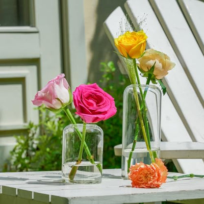 Glass Bud Vases Set of 24 - Clear Flower Vases for Centerpieces, Small Glass Vase Modern Bud Vase for Wedding Party Dining Table Centerpieces, Living Room Decorative, Home Decor - size: 24 Pcs