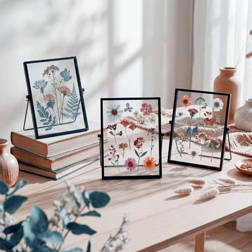 12 Pack Black Floating Photo Frame, 6 x 8 Inches Double Glass Desktop Picture Frames with Metal Stand for Pictures Photos Pressed Flowers Desk Tabletop Display - color: Black, size: 6 x 8 inches