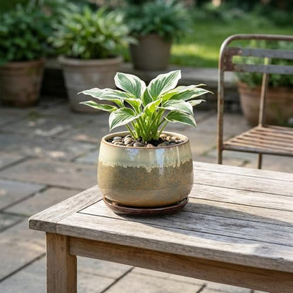 Ceramic Pots for Plants - 6 Inch Plant Pot Indoor with Drainage and Saucer, Round Planters for Succulent Snake Plants, Decorative Flower Pot, Home Decor, Plant Lover Gifts, Brown-Beige