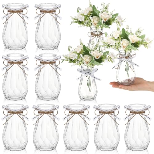 Set of 12 Pcs Small Plastic Bud Vases in Bulk with Gift Wrapping Ribbon, Vases for Flower, Wedding Centerpieces for Home Decor, Living Room, Office Decoration, Housewarming Party Gift (Clear)