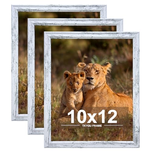 10x12 Picture Frame set of 3,Woode Frame for Wall Hanging, Horizontally or Vertically, 10 x 12 Wall Gallery Poster Photo Frame Rustic White best gift - color: Rustic White -3PCS, size: 10X12in