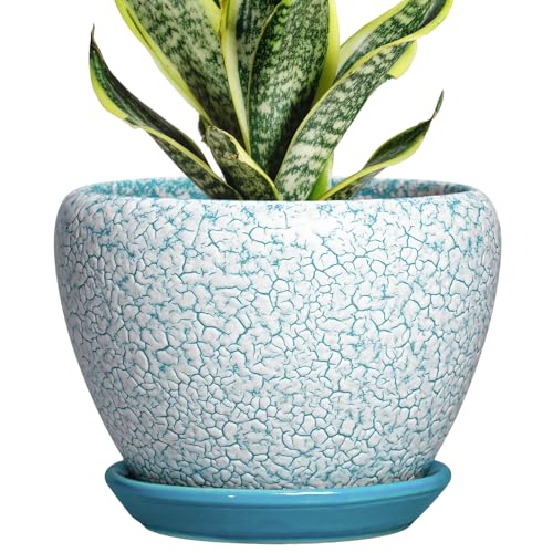 Ceramic Plant Pot, 6 Inch, Crackle Blue | Indoor Planters for Succulent Plants, Round Decorative Flower Pot, Drainage Hole and Saucer, Room Decor, Gifts for Gardeners - color: Crackle Blue, size: 6 Inch