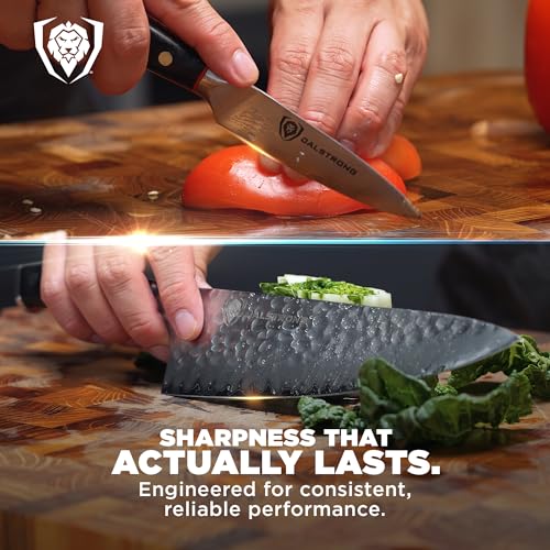 Dalstrong 2-Pc Japanese Knife Set - 8in Chef + 3.5in Paring | 66-layer Damascus AUS-10V Steel - 8-12° Edge - G-10 Handles - Shogun Elite - For Sushi - Precision Prep - Home Cooks - color: Elite Black 2Pc Set