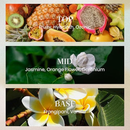 M&SENSE 6.3 oz Large Reed Diffuser Set | Jasmine Garland Scent Oil Diffuser with Sticks | Hotel Collection Non-Toxic Essential Oil |for Bedroom Bathroom Living Room - color: Jasmine Garland, size: 180ml