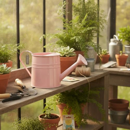 Long Spout Iron Watering Can for Indoor & Outdoor Plants, Durable Metal Design with Precise Flow Control (1 Pack) - color: Pink