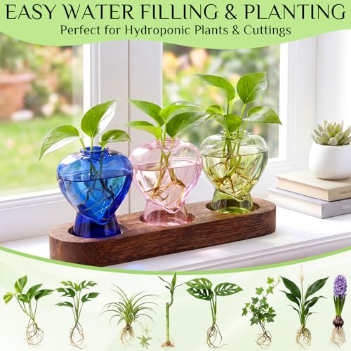 Zhehao 3 Pcs Plant Propagation Stations with Wooden Stand Heart Shaped Propagation Vases for Indoor Plants Home Office Desk Decor Gardening Gifts for Women Mom Birthday Gifts for Plants Lovers
