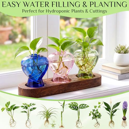 Zhehao 3 Pcs Plant Propagation Stations with Wooden Stand Heart Shaped Propagation Vases for Indoor Plants Home Office Desk Decor Gardening Gifts for Women Mom Birthday Gifts for Plants Lovers