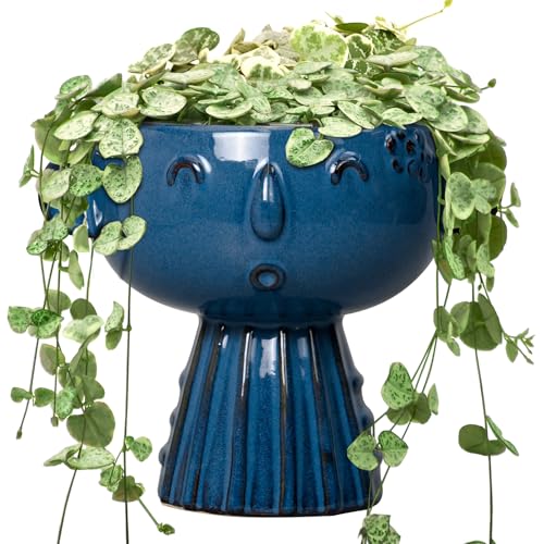 Head Planter Pot - 7 Inch Cute Face Planter for Indoor Outdoor Plants Ceramic Succulent Pot Round Flower Pot Present for Mother Christmas with Drainage Hole Blue - color: Blue-girl