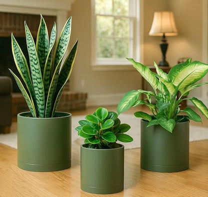 D'vine Dev 3-Pack Plastic Pots & Saucers, 6/6.5/8 in, Olive, 74-V-I-3 | Multi-Size Options, Lightweight Durable, Matte Finish, Cylinder Shape, Drainage Holes, Sleek Design, Detachable Saucer - color: Olive, size: Medium
