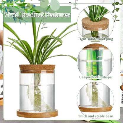 3 Pcs 3 Sizes Plant Propagation Station Separated Glass Plant Terrarium Water Hydroponic Planter Holder with Lid and Wooden Stand Propagation Vase Pot for Home Indoor Office(Various Sizes) - size: Various Sizes