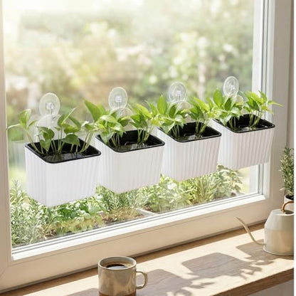 Hushee 4 Set Window Hanging Propagation Stations with Suction Cups Plastic Propagation Vases Propagated Plant Holder Wall Pots for Indoor Plants Office Home Garden Decoration Lover Gift (White) - style: White