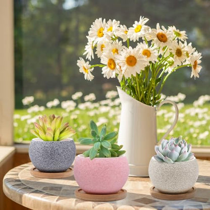 6 Pack Ceramic Succulent Pots with Drainage – Small Round Planters for Indoor Plants & Cactus, Mini Flower Pots with Bamboo Trays, Desk & Home Décor, Gift for Plant Lovers, Office, Balcony, Garden - style: Round
