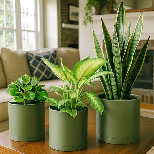 D'vine Dev 3-Pack Plastic Pots & Saucers, 6/6.5/8 in, Olive, 74-V-I-3 | Multi-Size Options, Lightweight Durable, Matte Finish, Cylinder Shape, Drainage Holes, Sleek Design, Detachable Saucer - color: Olive, size: Medium