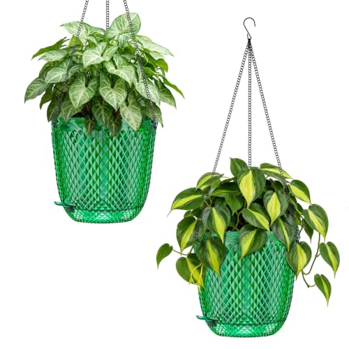 QCQHDU 5.7 Inch 2 Pack Small Hanging Planters for Indoor Outdoor Plants,Self Watering Flower Pots Hanging Basket Plant Hanger with Drainage Holes and 3 Hooks for Window Porch Garden Balcony, (Green) - color: Green, size: 5.7"+5.7"
