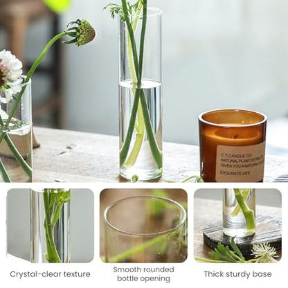 Glass Cylinder Bud Vases Skinny Single Flower Vase 12 Pcs | Tall Clear Glassware Container, Christmas Birthday Housewarming Holiday Decoration, Table Centerpiece Display