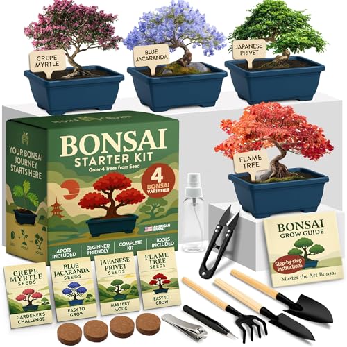 HOME GROWN Bonsai Tree Starter Kit – Unique Christmas Gift for Adults, Men, Women - Grow 4 Bonsais – DIY Crafts Hobby Gardening Kit for Plant Lovers, Mom, Dad - White Elephant Gifts for Adults - style: Starter Bonsai Grow Kit