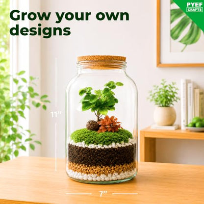 Terrarium Kit for Plants DIY (1 Gallon) | Starter Pack – Closed Ecosystem – 1 Gal Glass – Succulents, Air Plants, Bonsai, Indoor Plants – (Plants Not Included) - size: 1 Gallon