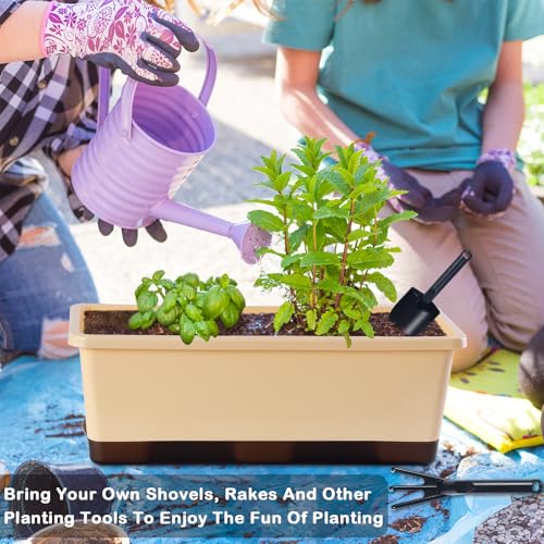 Window Box Planter 8 Pcs, 17 Inches Rectangle Flower Pots with Drainage Holes & Trays, Vegetable Planters for Windowsill Patio Garden Balcony Home Indoor Outdoor (Barley Yellow, 16 * 7 * 6 inch) - color: Barley Yellow