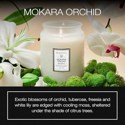 Voluspa Mokara Orchid Large Scented Candle Jar 18 Oz, 100 Hr Burn | Vegan Coconut Wax Blend With Natural Wick, USA Poured Gift for Hosts, Fragrance Lovers, Relaxed Rooms & Daily Ambience Use - color: 7 - Mokara Orchid