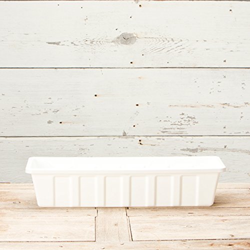 Novelty Poly-Pro Plastic Flower Box Planter, White, 24-Inch - color: White, size: 24-Inch