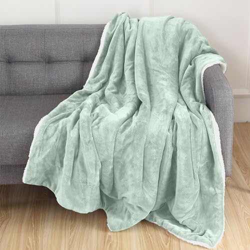 Elegant Comfort Reversible, Solid Sherpa Throw Blanket, All-Season Blanket- Super Soft, Cozy and Plush- Decorative Throw, Perfect for Lounging, 50 x 60 inches, Sherpa Throw Mint Green - color: Solid Mint Green