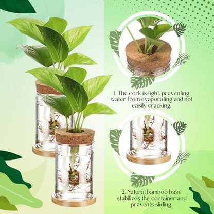 9 Packs Propagation Vases for Plants Plastic Plant Propagation Station with Hole Lid and Bamboo Stand Growing in Water Hydroponic Home Office Table Decoration(Classic Style) - style: Classic