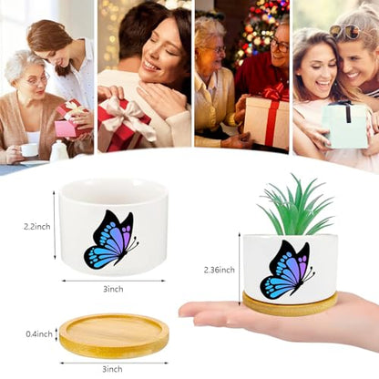 1Pcs Butterfly Planter Pots with Drainage and Tray, Ceramic Pot 3 Inch | Small Planters for Plants,Decoration for Outdoors,Home,Office,Window,Garden, Gifts for Women Men (No Plants Included) - style: Butterfly
