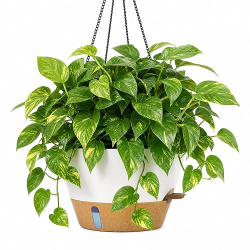 ZMTECH 12 Inch Hanging Planters for Indoor Plants, Modern White Self Watering Hanging Planter with Visible Water Level Window & Chain, Large Flower Pots for Outdoor Patio Decor - color: White