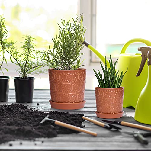 D'vine Dev 2-Pack Geometric Stoneware Planters, 3.8/5.8 in, Canyon, 99-E-5 | Drainage Hole and Saucer, Sculptural Geometric Design, Rich Glazed Surface, Modern Style, Elegant Accent for Indoor Plants - color: Pottery Red