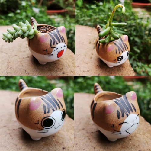 Set of 5 Mini Cute Cat Ceramic Succulent Pots Planters with Drainage Hole | Handmade Cartoon Pots Small Plants Animal Lovers Home and Office Desk Decoration