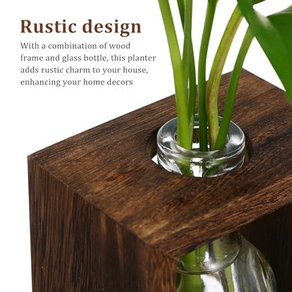 Rustic Wooden Plant Propagation Station with Visibility and Easy Maintenance, Hydroponic Glass Vase Planter for Plants, for Coffee Tables and Tabletop Decor