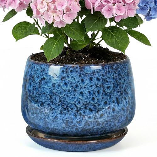 10.3 Inch Flower pots for Indoor Outdoor Plants with Saucer Drainage Leak-Proof Mesh, Ceramic Planter with Gardening Gloves for Succulent and Flower (Peacock Blue) - color: Peacock Blue, size: 10.3 Inch