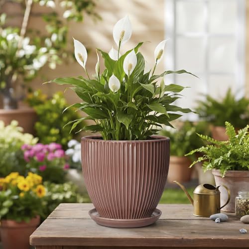 Ceramic Pots for Plants 6 Inch, Ceramic Plant Pots Indoor with Drainage Hole and Saucer, Modern Flower Pot, Round Decorative Planter, Living Room Home Decor, House Warming Gifts, Rust Red - size: 6 Inch, style: Rust Red