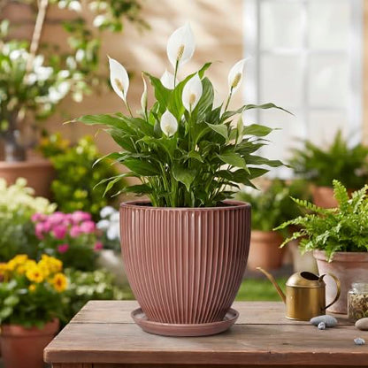 Ceramic Pots for Plants 6 Inch, Ceramic Plant Pots Indoor with Drainage Hole and Saucer, Modern Flower Pot, Round Decorative Planter, Living Room Home Decor, House Warming Gifts, Rust Red - size: 6 Inch, style: Rust Red