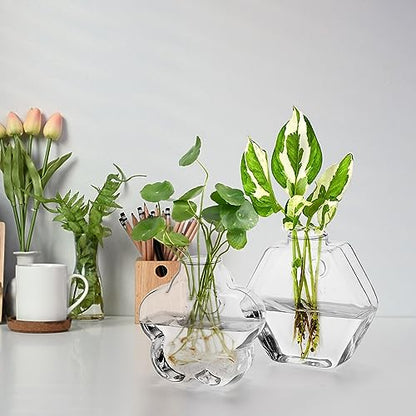Set of 6 Wall Hanging Planter Terrarium, Clear Glass Plant Vase Wall Mount for Propagating Hydroponics Plant, Indoor Air Plants, Stylish 6 Shapes (Plants Not Included)