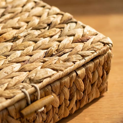 Small Wicker Storage Basket with Lid 2-Pack, Water Hyacinth Woven Baskets | Dustproof design with cover, Natural materials, Handwoven, Built-in handle, Living room, bedroom, utility room, vanity - color: Natural color