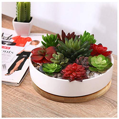 3 Pack Bamboo Saucer, 6 Inch Plant Saucer, 5" Cactus Plant Tray, Round Bamboo Tray for Modern Ceramic Flower Pot, Planter Pot, Cup Holder, Spoon Holder, Kitchen Utensil Rest - size: 6 Inch