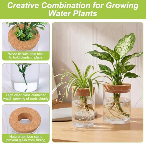 Kifmurase 8pcs Glass Propagation Stations, Desktop Glass Flower Vases for Propagating Hydroponic, 4 Large & 4 Small Propagation Vase for Plant Growing Hydroponic Indoor Home Office Tabletop Decor