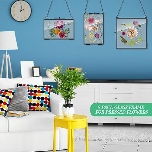 Geetery 9 Pcs Glass Frame for Pressed Flowers 6x4 4x6 6x6 in Black Hanging Picture Frames Metal Floating Double Glass Display Frame with Chain for Dried Flower Plant Specimen DIY Artwork Wall Decor