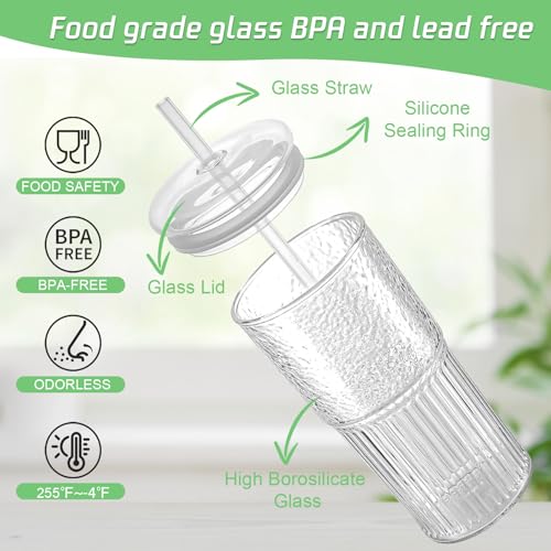 Luiaiog Glass Cups with Lids and Glass Straws,Mason Jar Cups High Borosilicate 20OZ Tumblers (2Pcs) for Coffee, Tea, Juice, Smoothies, Hot/Cold Drinks at Home, Office - color: Standard Clear 2pcs 20oz