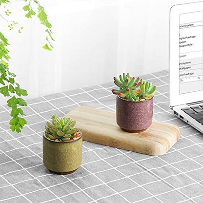 T4U 2.5 Inch Small Ceramic Succulent Planter Pot with Drainage Hole Set of 6, Ice Crack Glaze Plant Container for Cactus, Succulent Plant Gifts for Women Mom Aunt Home Office Decor | Deep root containers, for small cactus plants, bonsai tree starter pots,