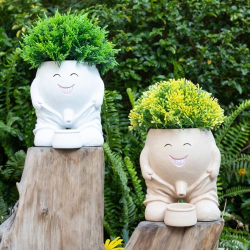 Funny Planters Smiley Face Planter Pot with Drainage Hole, Cute Resin Succulent Plant Pots, Unique Novelty Cute Cactus Face Pots for Office Desk Plant Pots Gift White - color: White-a