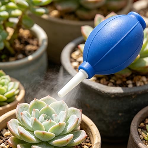 6 Pcs Space Saving Mini Plant Gardening Tools Complete Function Lightweight Handheld Tools for Indoor Desktop Green Plant Daily Caring Work (Blue, Pink) - color: Blue, Pink