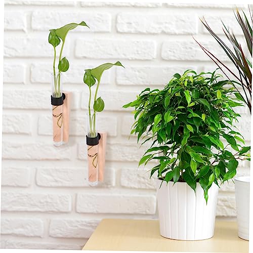 Flower Vase Set 2 Pieces Wall-Mounted Test Tube Plant Holders Air Plant Vase Easy to Assemble