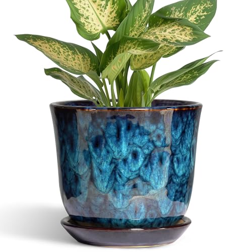 5.6 Inch Plant Pot - Ceramic Pots for Plants with Drainage Hole and Saucer, Round Succulent Flower Orchid Pot for Indoor Outdoor, Modern Planter, Home Room Decor, Gift for Plant Lover, Blue - color: Blue, size: 6 Inch