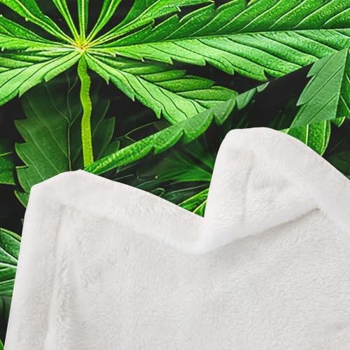 Erosebridal Leaves Flannel Blanket for Kids Men Adult Leaf Printed Bed Blanket Green Nature Plant Hippie Plush Blanket Baby 30"x40" - color: Jcxs3815, size: Baby(30"x40")