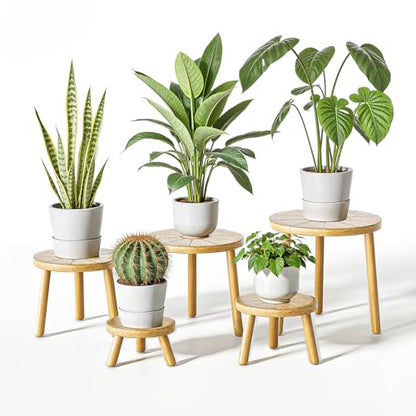 Wood Plant Stands 5-Pack Indoor, Plant Stool, Light Brown | Premium carbonized pine with moisture-resistant, burr-free finish, Snap together in 60 seconds, no tools needed - color: Light Brown, size: 5-Pack