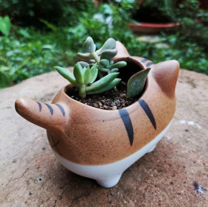 Set of 5 Mini Cute Cat Ceramic Succulent Pots Planters with Drainage Hole | Handmade Cartoon Pots Small Plants Animal Lovers Home and Office Desk Decoration